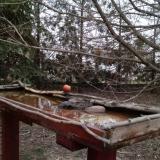 photo 2022-03-07 17-21-57