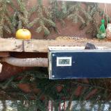 photo 2021-02-15 10-07-03