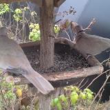 photo 2019-12-12 10-36-00