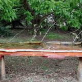 photo 2021-05-06 17-49-30