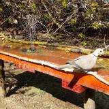 photo 2021-04-08 15-07-32