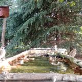 photo 2023-10-04 08-49-33