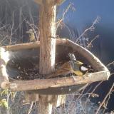 photo 2019-12-31 14-18-28