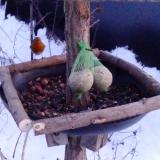 photo 2019-01-10 16-30-10