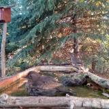 photo 2023-10-14 08-01-36