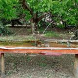 photo 2021-05-06 16-13-40