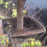 photo 2019-12-14 10-26-05