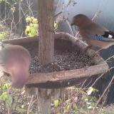 photo 2019-12-19 09-19-00