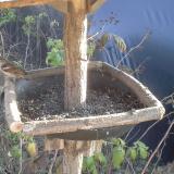 photo 2019-12-11 13-36-33