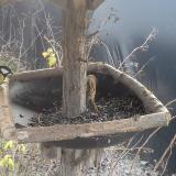 photo 2019-12-28 12-23-04