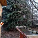 photo 2021-12-15 09-02-12