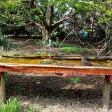 photo 2021-04-22 16-08-32