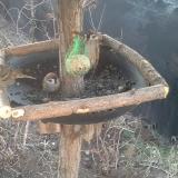 photo 2019-02-13 07-18-35