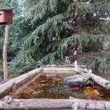 photo 2023-10-16 17-30-55