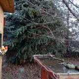 photo 2021-12-15 09-02-57