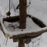 photo 2019-01-08 15-11-15