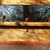 photo 2022-01-15 10-26-06