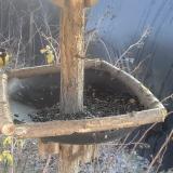 photo 2019-12-30 12-32-10