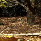 photo 2021-10-19 13-50-39zoldike