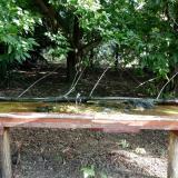 photo 2021-08-04 09-01-11