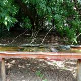 photo 2021-08-04 11-01-14