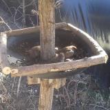 photo 2019-02-23 11-51-37