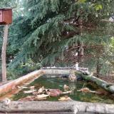 photo 2023-10-02 09-01-13