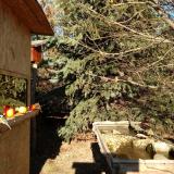 photo 2021-12-21 13-04-18