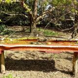 photo 2021-04-12 09-48-35