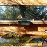 photo 2023-10-28 10-25-38