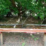 photo 2021-07-04 13-23-45