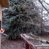 photo 2021-12-15 07-39-59