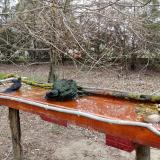 photo 2021-03-24 08-35-15