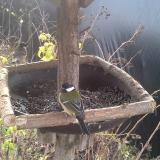 photo 2019-12-22 09-58-47