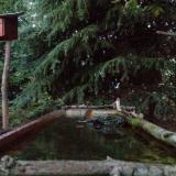 photo 2023-10-10 18-10-24