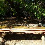 photo 2021-10-04 13-48-31