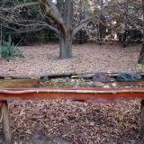 photo 2021-10-31 06-52-14