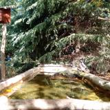 photo 2023-10-12 12-36-29