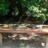 photo 2021-07-22 10-35-07