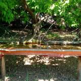 photo 2021-05-10 12-24-19