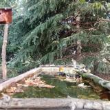 photo 2023-10-04 11-01-46