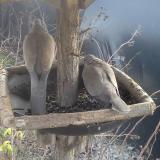 photo 2019-12-28 12-56-59