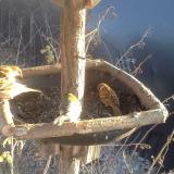 photo 2019-12-30 14-33-01