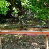 photo 2021-05-15 08-57-36