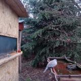 photo 2022-01-03 07-45-53