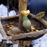 photo 2019-01-14 11-43-39