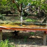 photo 2021-04-27 16-19-25