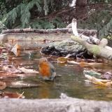 photo 2023-10-09 15-39-26