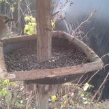 photo 2019-12-19 09-28-15