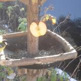 photo 2019-12-03 09-46-24